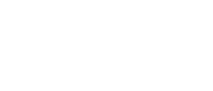 white_New Leaders Logo